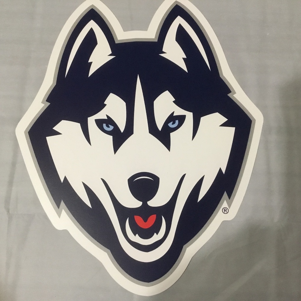 UCONN 2025 Brochure and Huskie Cut-Out - Picture 2 of 5